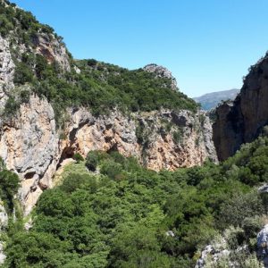 PATSOS ESCAPE-WALK, EAT AND DRINK