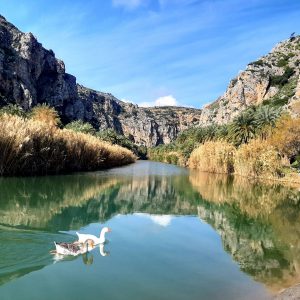 PREVELI – PALMOWA PLAŻA INACZEJ
