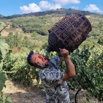 FLAMENCO CAMP W WINIARNI