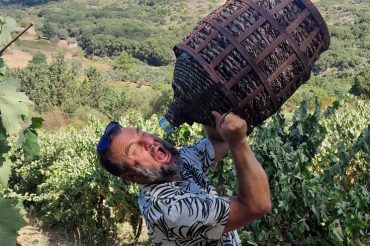 FLAMENCO CAMP W WINIARNI