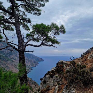 U ELIASZA NA OBOZIE WĘDROWNYM