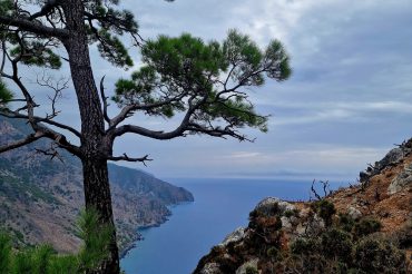 U ELIASZA NA OBOZIE WĘDROWNYM